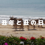 留学生コラム「丑年と丑の日」